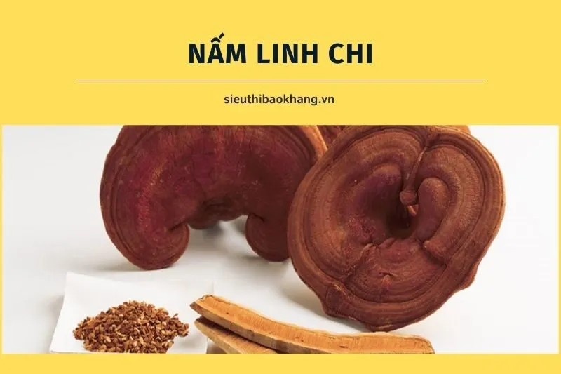 Nấm linh chi