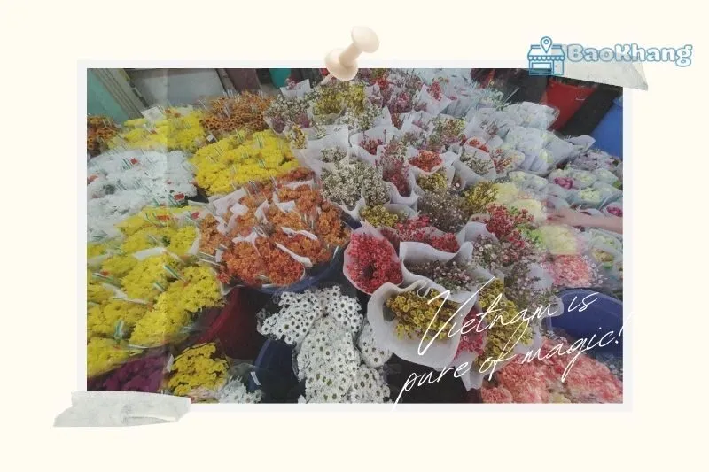 Chợ hoa Hồ Thị Kỷ ở đâu? Hướng dẫn chi tiết cách đi