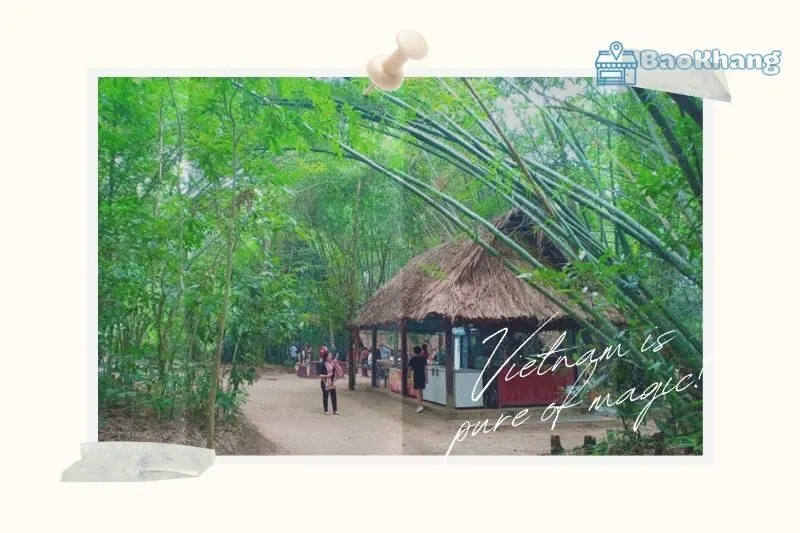 Giới thiệu về Địa đạo Củ Chi và Vai Trò Quan Trọng Trong Lịch Sử Việt Nam?