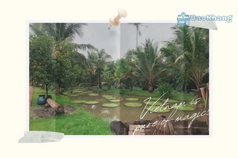 Khu Du Lịch Bình Quới - Tổng Quan và Địa Chỉ