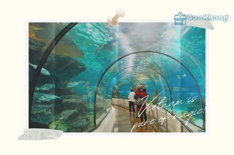 Tổng quan Khu du lịch Suối Tiên