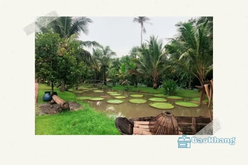 Những Điều Cần Lưu Ý Khi Tham Quan khu sinh thái Bình Quới