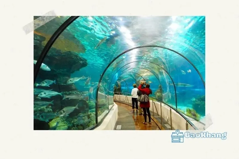 Những điểm lưu ý khi tham quan Suối Tiên